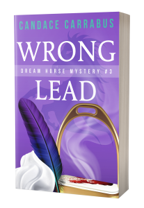 Cover of Wrong Lead